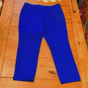 Lane Bryant Bright Blue Capri Cut Pants, Size 14